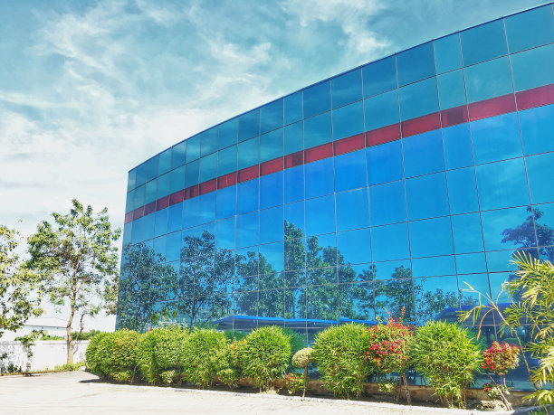 后院有明亮的天空。图片下载