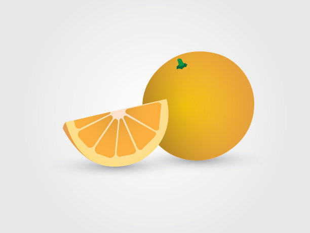 一个切片橙色在白色背景矢量插图图片下载