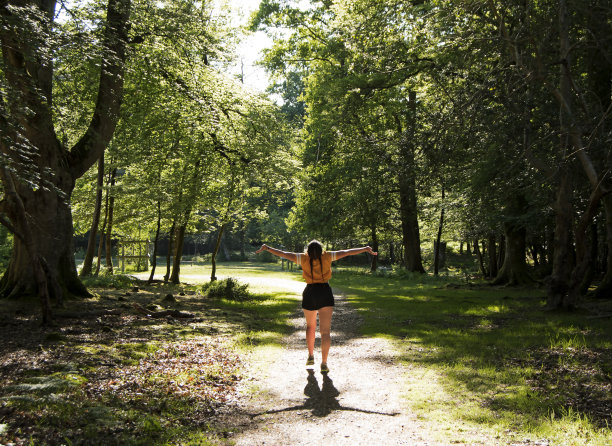 拥抱透过树林的阳光图片下载