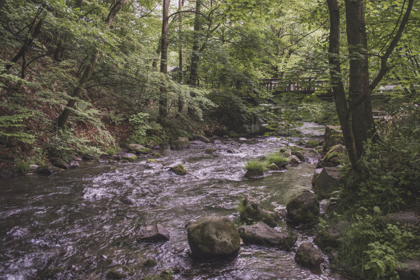 日本轻井泽星野地区的自然风光照片。图片下载