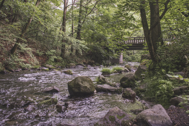 日本轻井泽星野地区的自然风光照片。图片下载