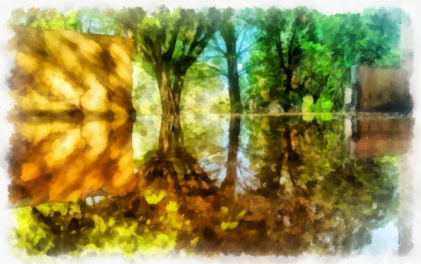 树木倒影图片下载