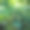 植物图片素材ID：319539942