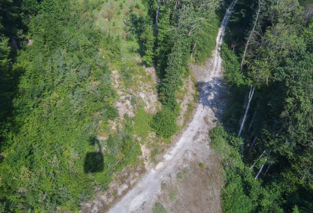 从缆车舱俯视地面上的阴影。图片下载