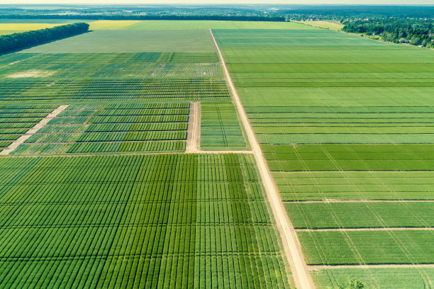 鸟瞰图的几何绿色领域图片下载