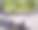 双脚踩在沥青上。草。鹅卵石。图片下载