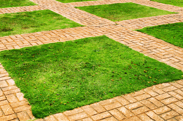 绿草和砖路图片下载