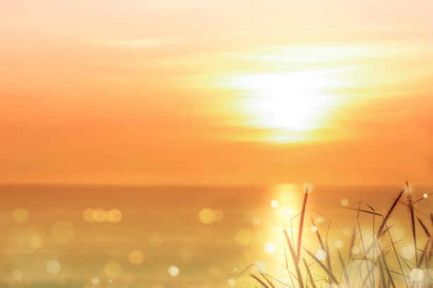 美丽的日落图片下载