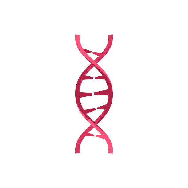 DNA分子标记、遗传元素和图标链。向量图片下载