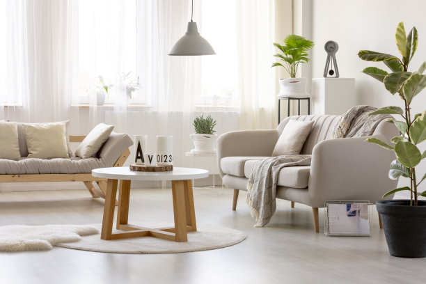 在简单的客厅里，长靠背前的小地毯上的木桌和无花果树。真实的照片图片下载