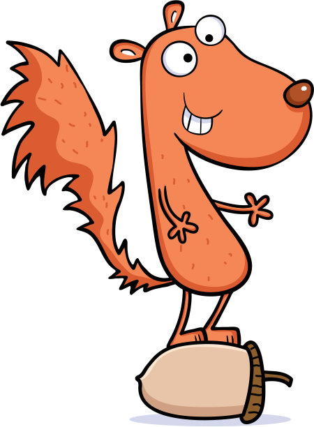 松鼠在Acorn图片下载