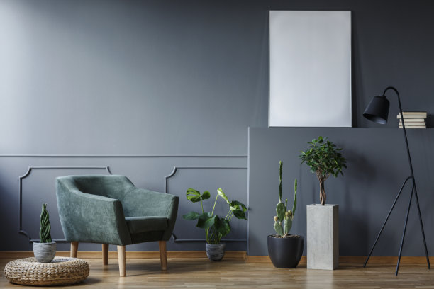 植物在蒲袋旁边的绿色扶手椅在灰色平坦的内部与海报的模型。真实的照片图片下载