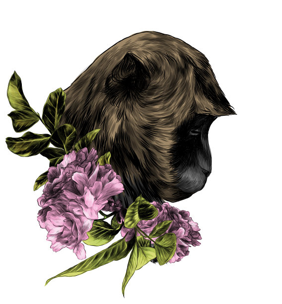 猴子的头低垂着，脖子上戴着一个樱花花环，表情悲伤图片下载