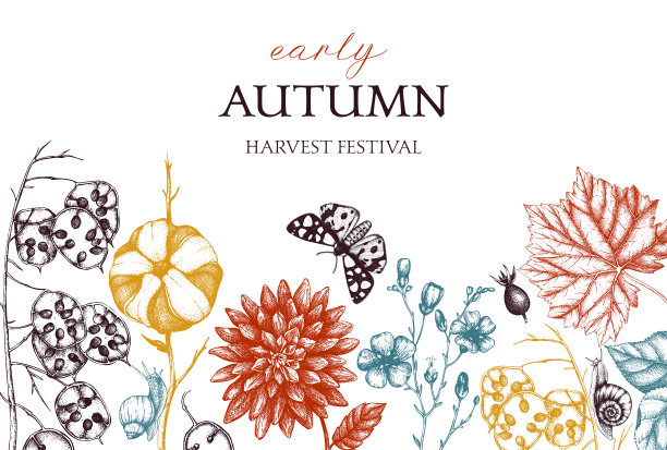 秋天的名片设计图片下载