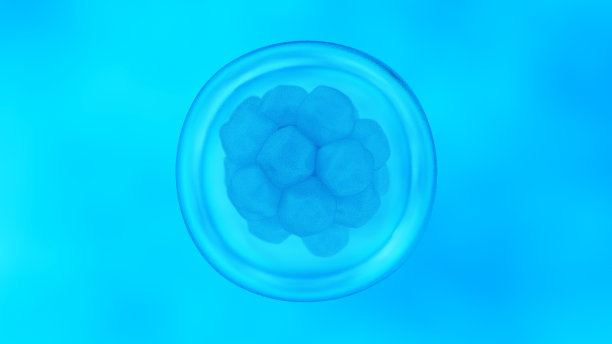 人类干细胞图片下载