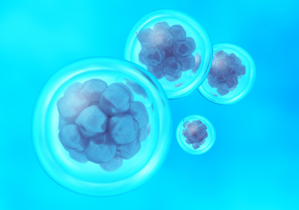 人类干细胞图片下载