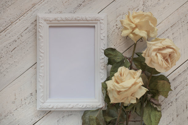 空的古董框架和奶油干玫瑰在白色破旧别致的背景。空的内部框架。的框架模型。图片下载