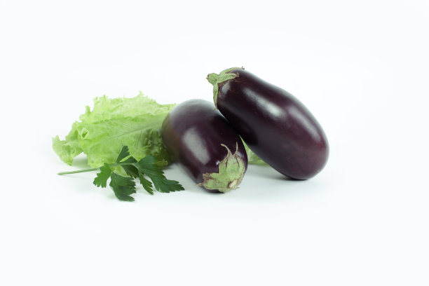 茄子，生菜和欧芹，白底图片下载