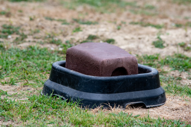 塑料支架中的矿物块图片下载