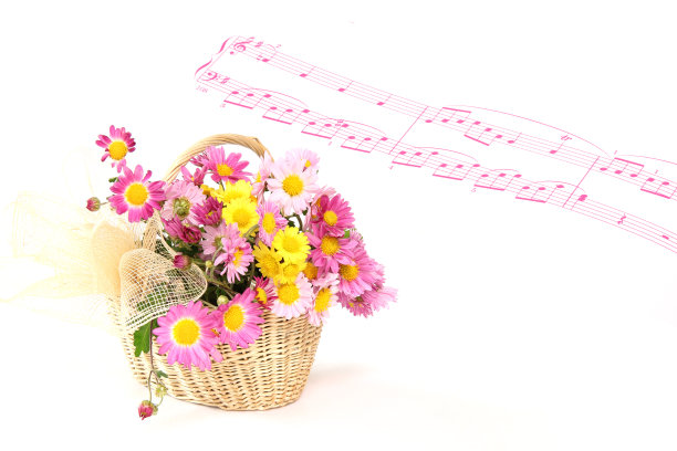 菊花的篮子图片下载