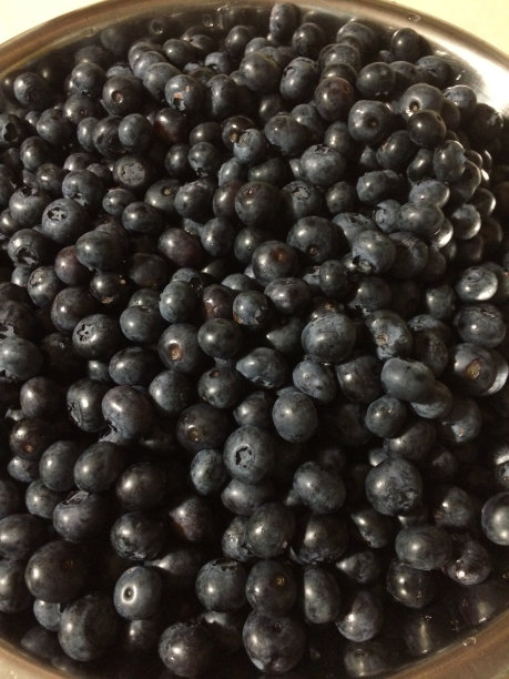 蓝莓图片下载
