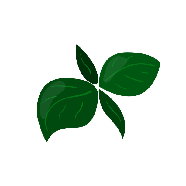 草本绿色叶子矢量图标。健康饮食卡通插图孤立在白色的背景。图片下载