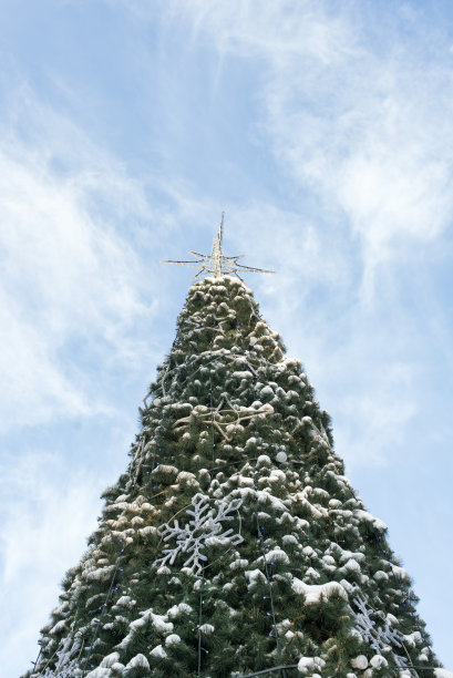圣诞装饰品及配件图片下载