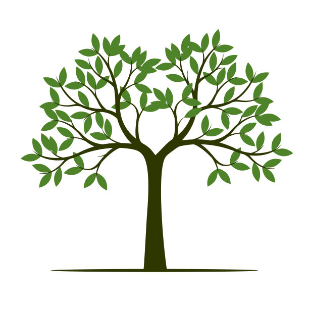 绿色的夏天树。矢量插图。植物在花园。图片下载