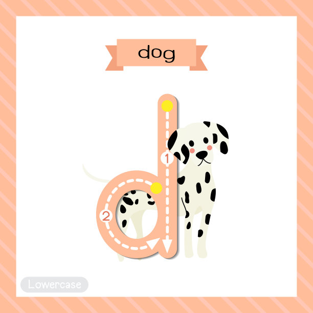 字母D小写跟踪。站的狗图片下载
