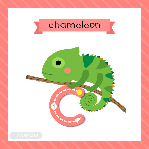 字母C小写跟踪。爬在树枝上的变色龙图片下载