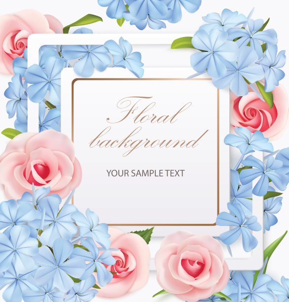 花的背景与玫瑰，鸟群和框架。矢量图图片下载