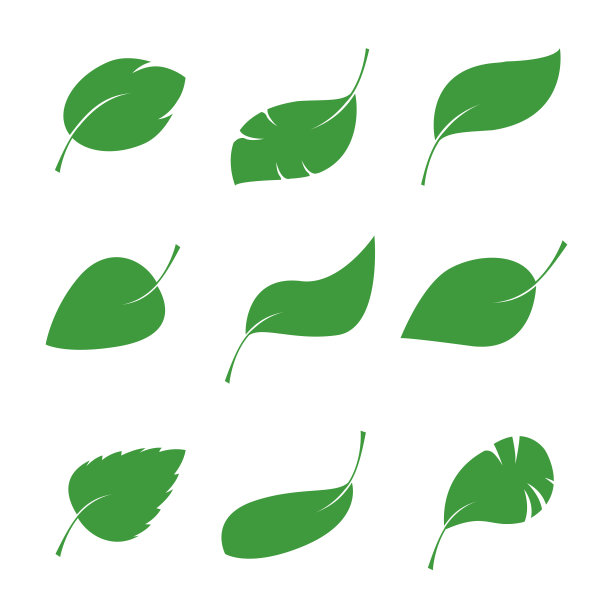 一组绿色的叶子图标。矢量图图片下载