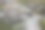 地衣覆盖的岩石，苏格兰图片下载