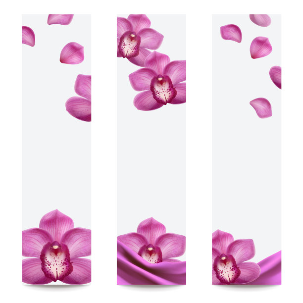 兰花紫套装旗帜图片下载