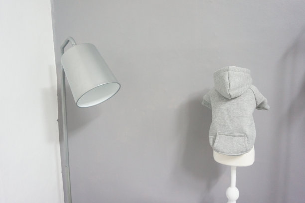 宠物衣服，人体模型连帽衫图片下载