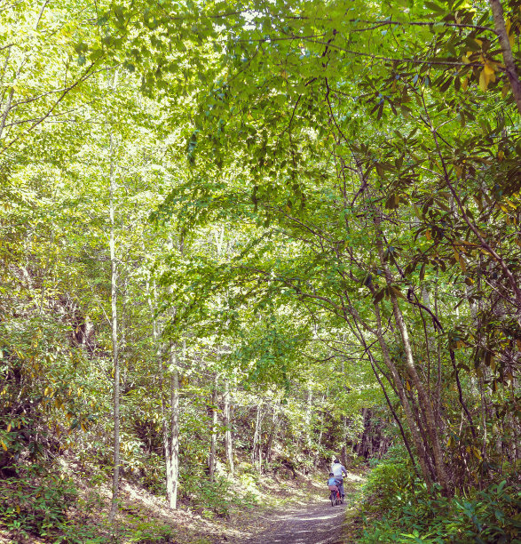 骑自行车和爸爸图片下载