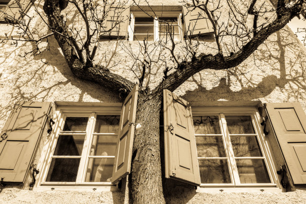 老木窗户图片下载