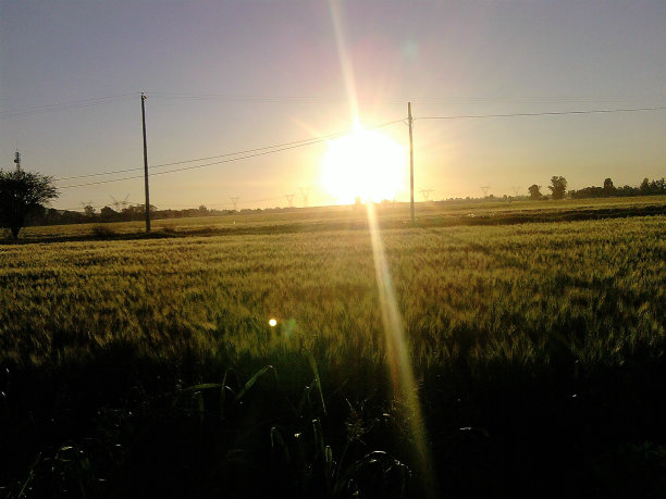 新鲜的日出图片下载