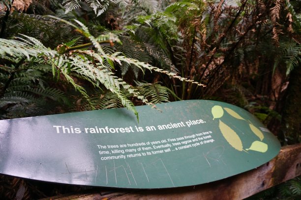 雨林的标志图片下载