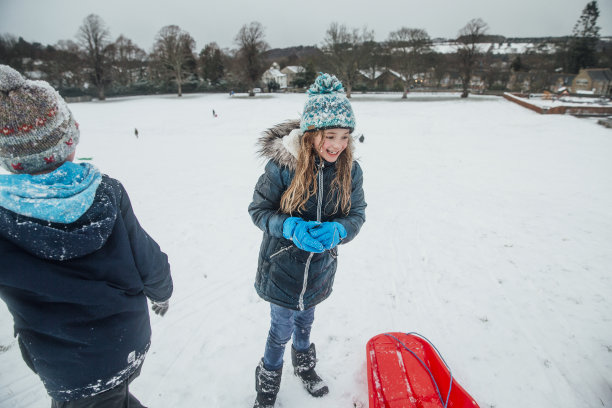 在雪中嬉戏图片下载