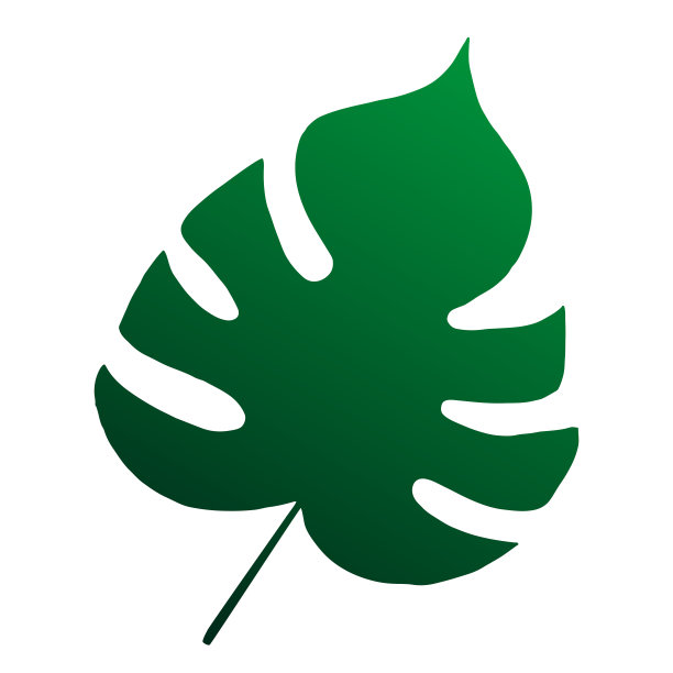 绿色的热带怪物叶。图片下载