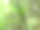 森林中的野生植物图片下载