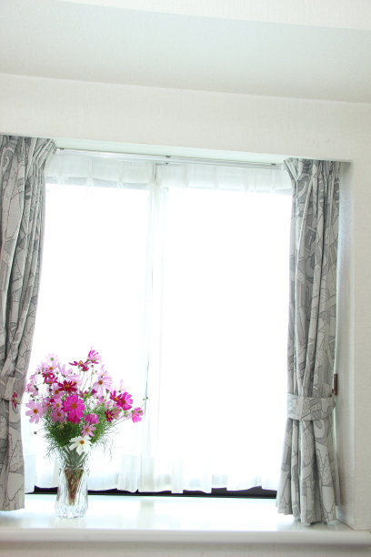 窗户边的宇宙(花)图片下载