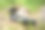 徒步旅行时破的登山靴图片下载