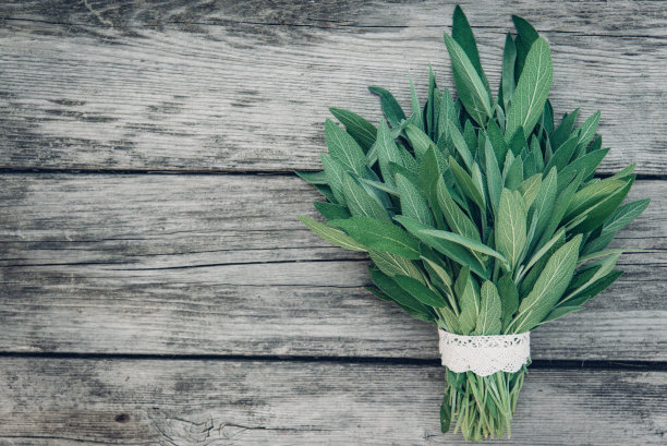 鼠尾草officinalis。鼠尾草叶子在旧木桌上。花园的圣人。手工制作的蕾丝。复古的杂志图片。本空间图片下载