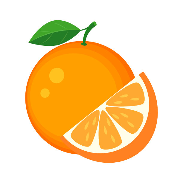 整体色彩丰富，切片橙黄色，叶子绿色。向量illustra图片下载