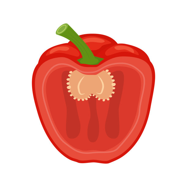 半红腹辣椒矢量插图孤立在白色的背图片下载