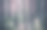 混合格林伍德森林。这张照片描绘的是幽暗朦胧的常绿松树林区。图片下载