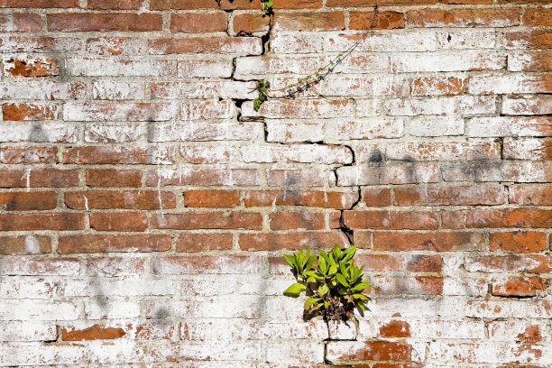 旧砖墙上有很深的裂缝图片下载