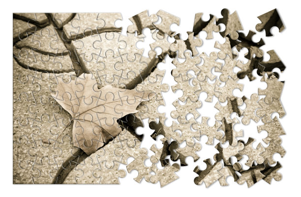 地面上孤立的干叶子-拼图形状的概念图像图片下载